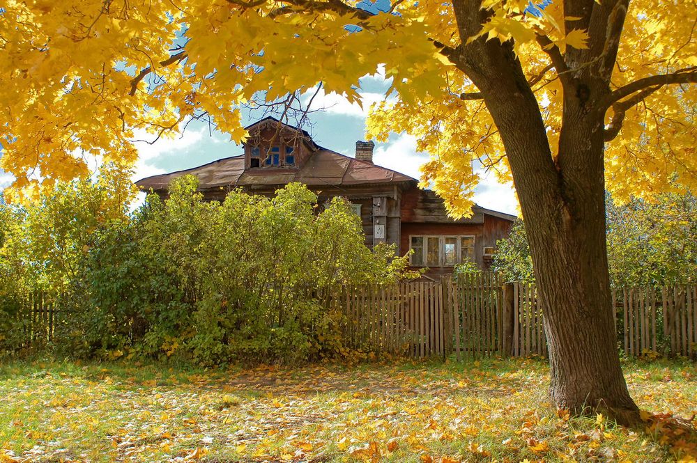 Осень в деревне Высоково