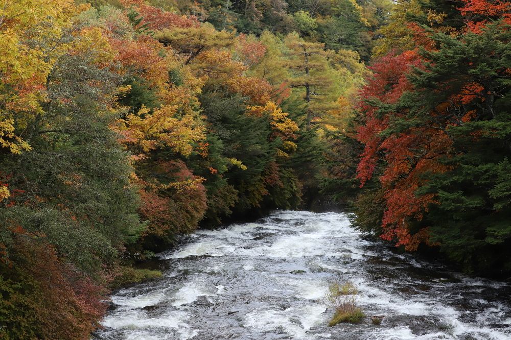 Photograph by Se Lena