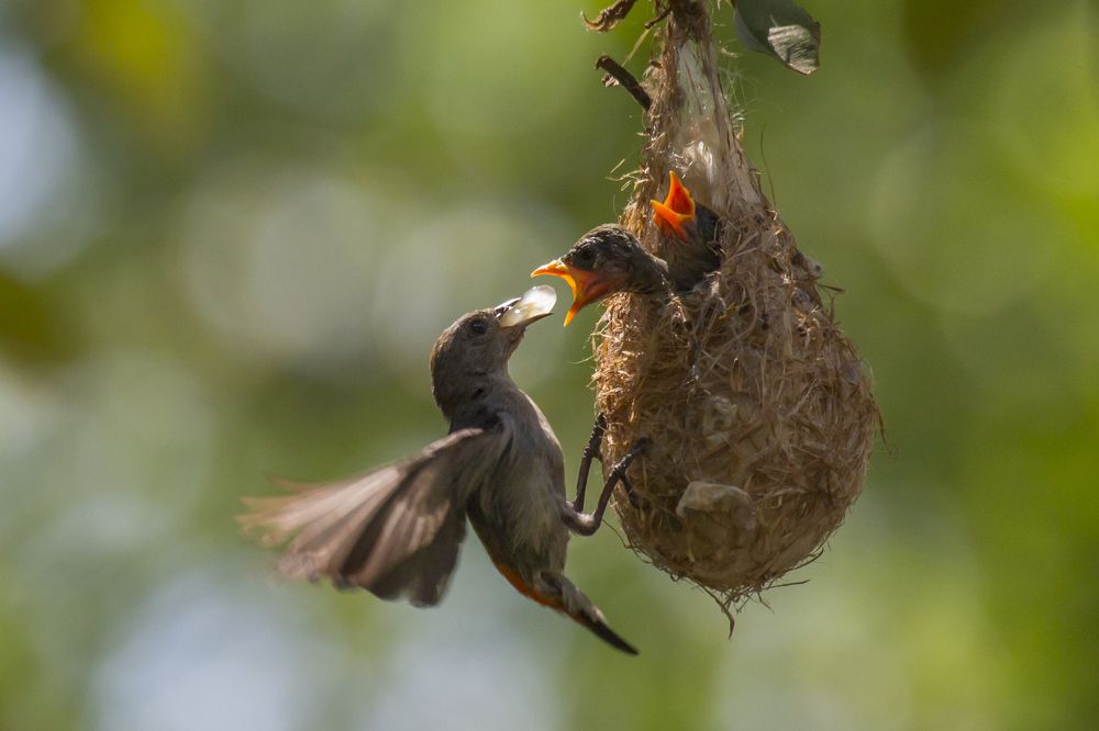 Photograph by HOANG MINH