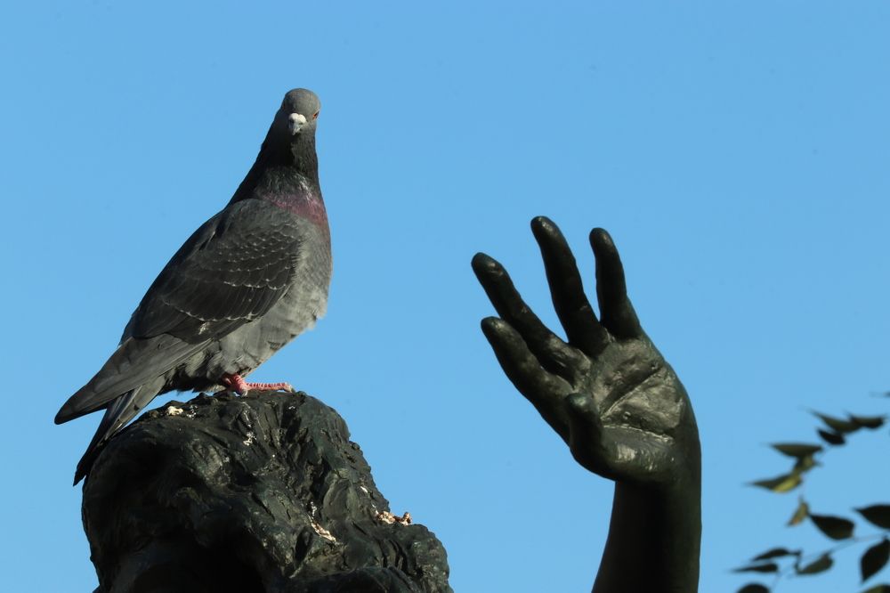 Photograph by Se Lena