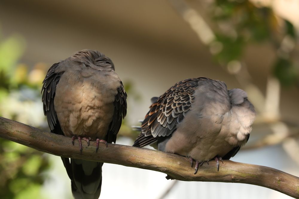 Photograph by Se Lena