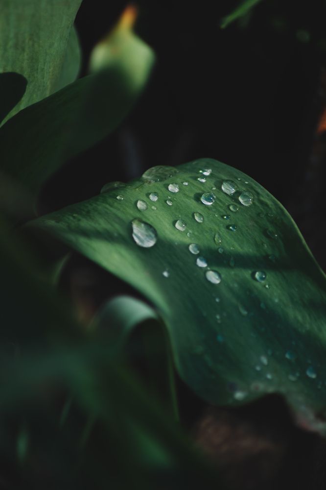 Photograph by Альбина Баташова