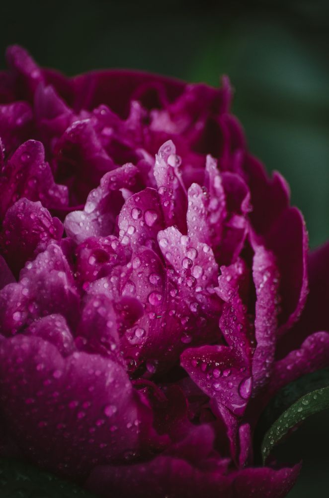 Photograph by Альбина Баташова