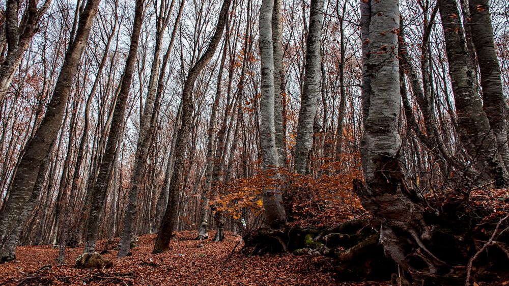 Photograph by Екатерина Игоревна