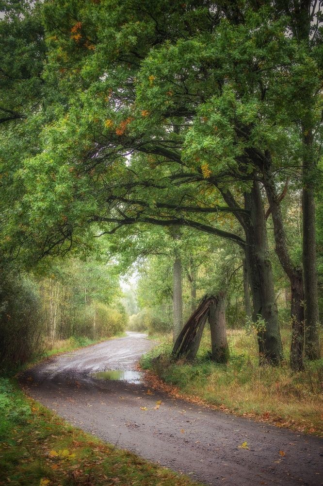 Photograph by Leanid Kulpo