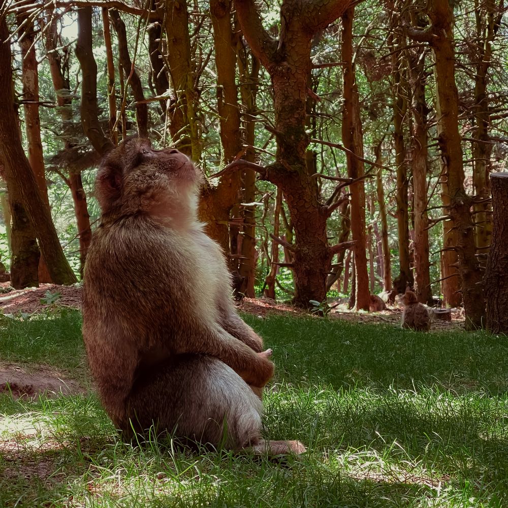 Photograph by daria eipert