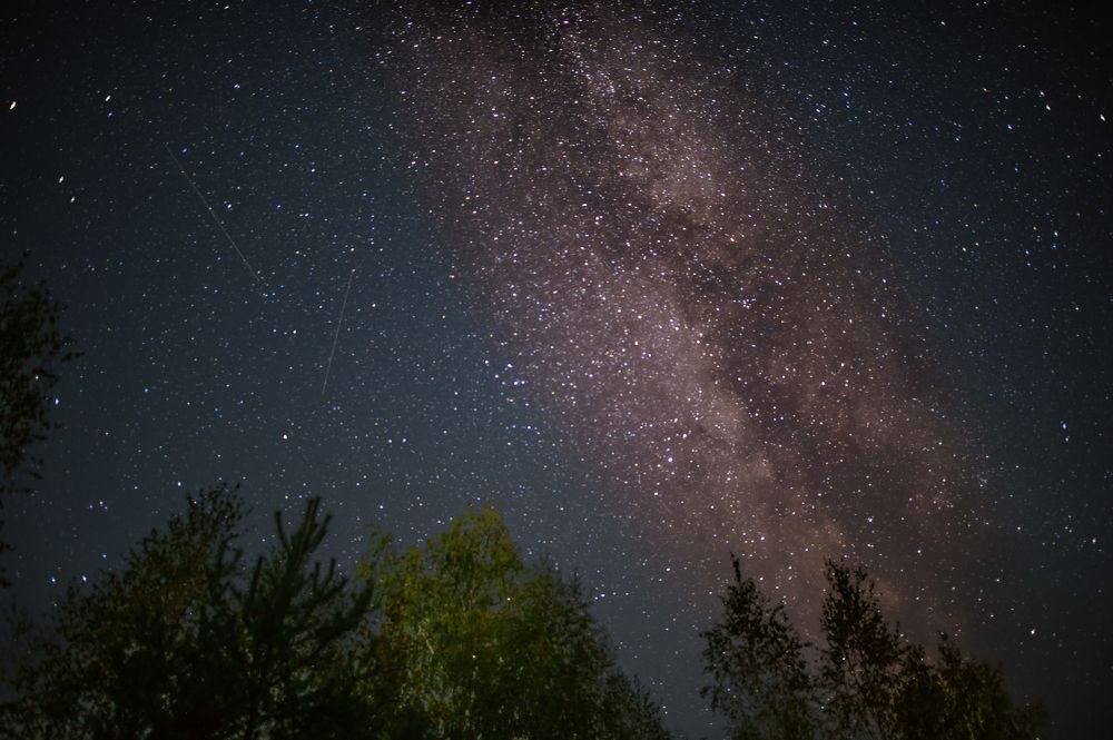 Photograph by Елена Ефимова