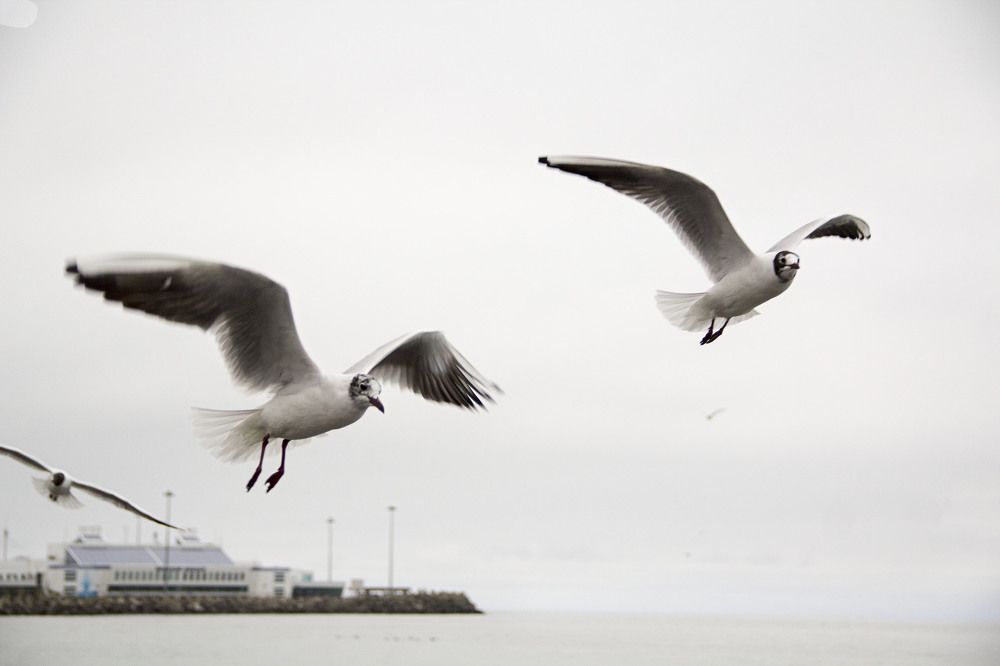 Photograph by Екатерина Макеева