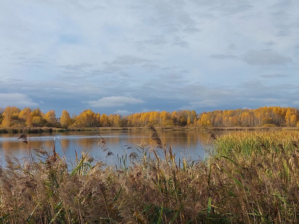 Photograph by Шкарупа Тамара