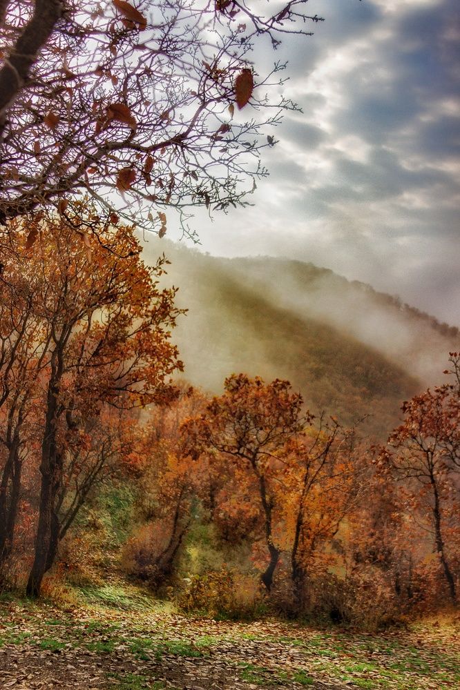 Photograph by Sherko Bahmani