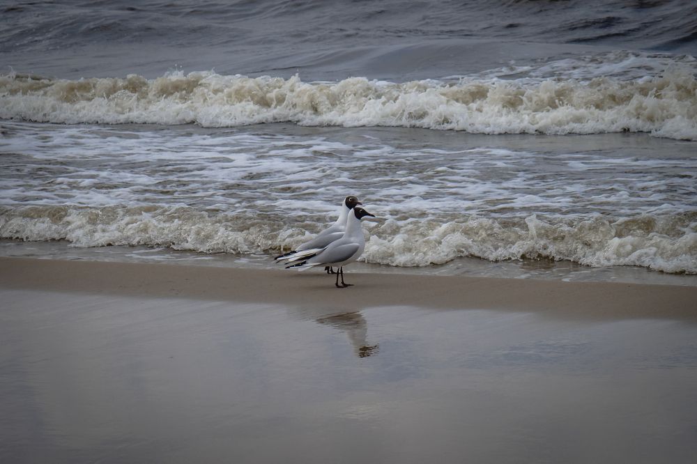 Photograph by Бравичева Анастасия