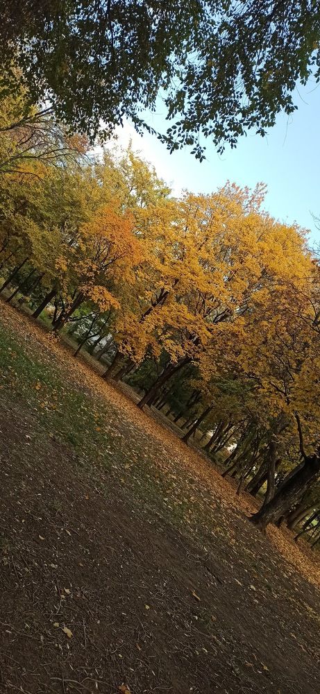 Photograph by Виорика Фоменко