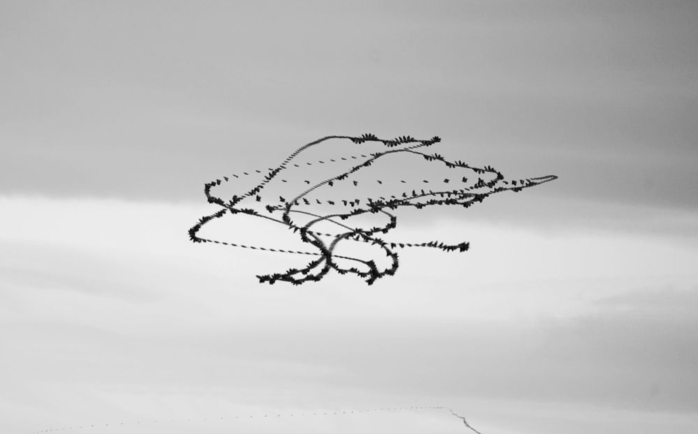 Photograph by Raghuvamsh Chavali