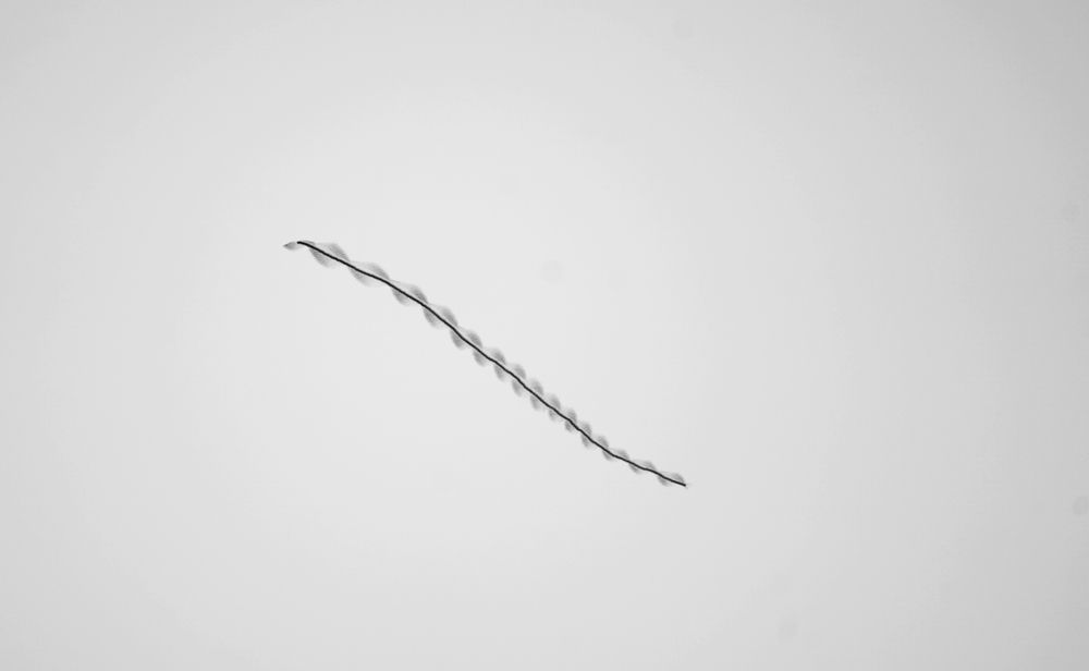 Photograph by Raghuvamsh Chavali