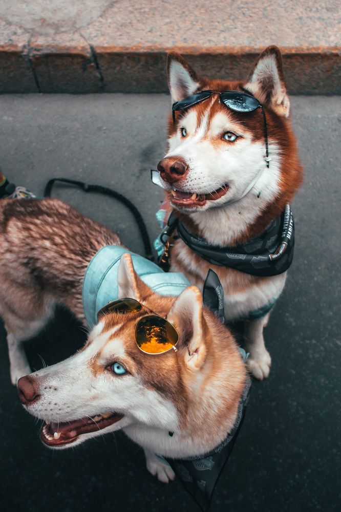 Photograph by Aljona Dyachenko