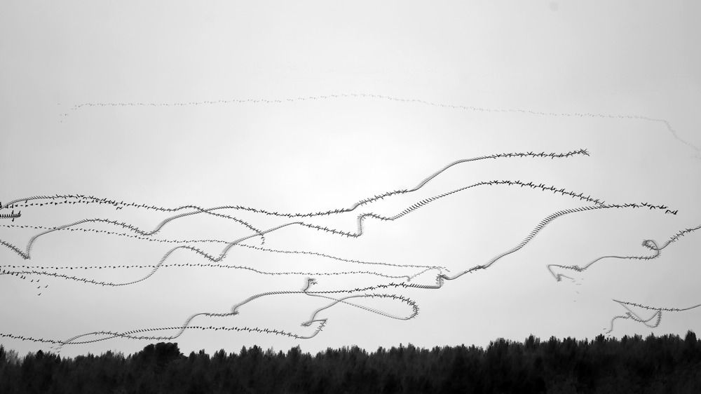 Photograph by Raghuvamsh Chavali