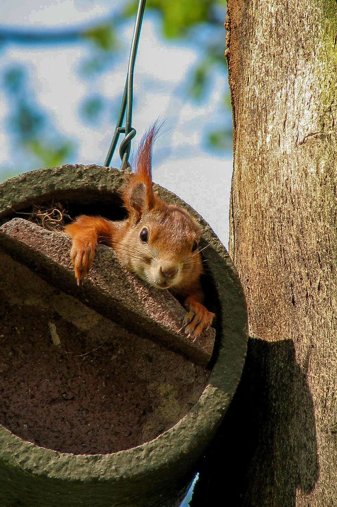 Photograph by Aljona Dyachenko