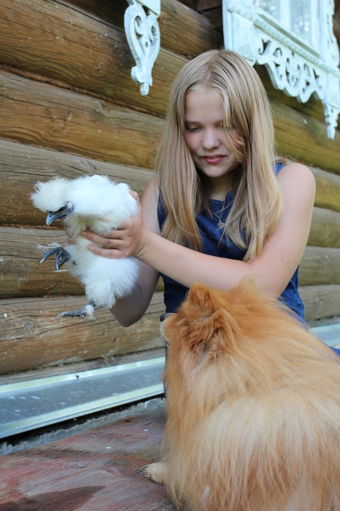 Фотография автора Колосова Елена