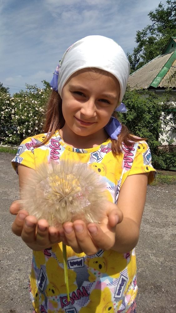 Photograph by Виорика Фоменко