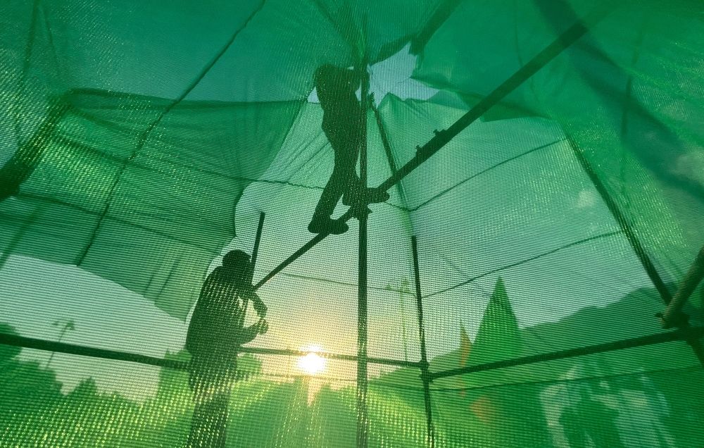Photograph by amin Sharafiani