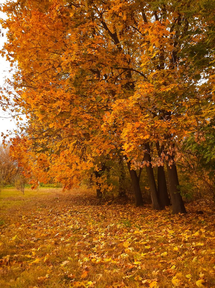 Photograph by Юлия Закопайло