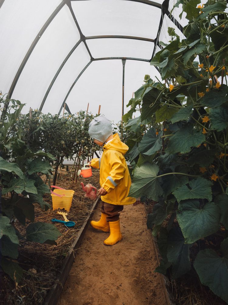 Photograph by Светлана Никотина