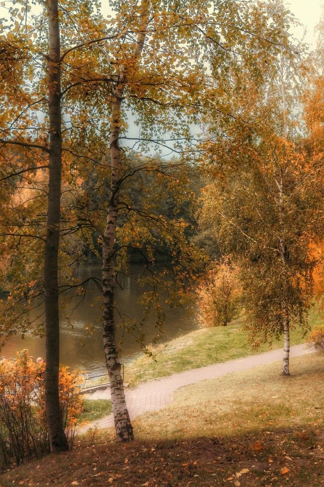 Photograph by Елена Пасажицкая