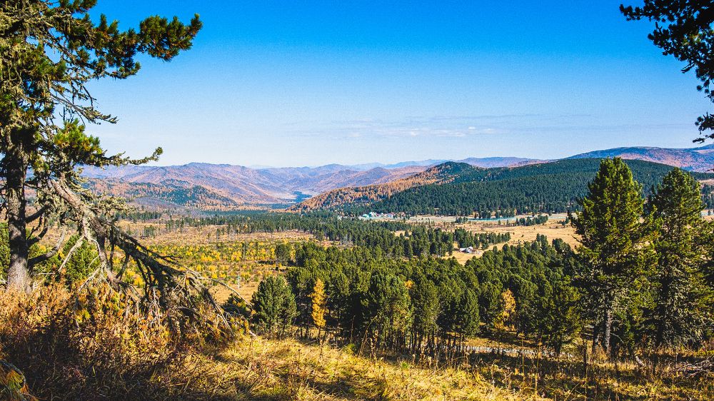 Photograph by Александр Потапов