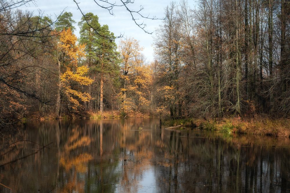 Photograph by Юлия Морозова