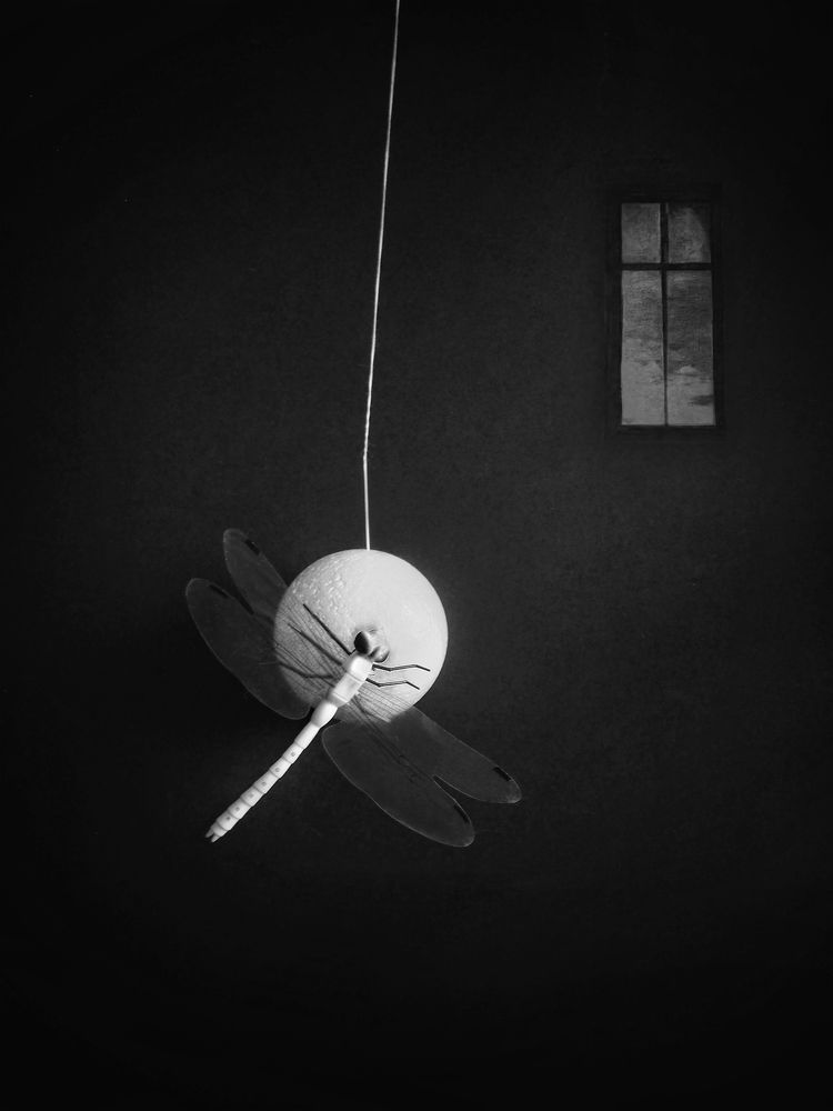 Фотография автора Vera Eremeeva