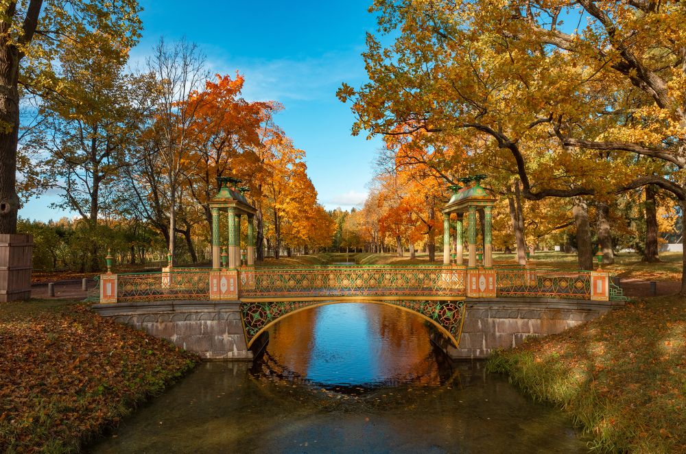 Photograph by Плешков Алексей