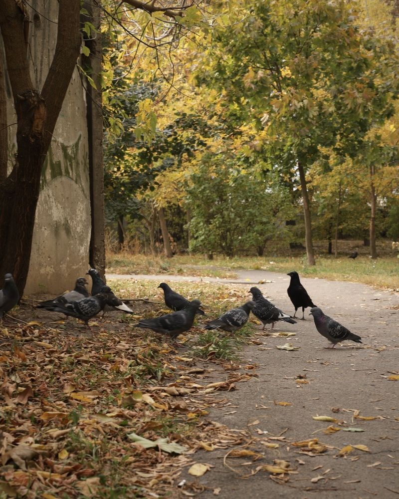 Фотография автора Ирина Мосько