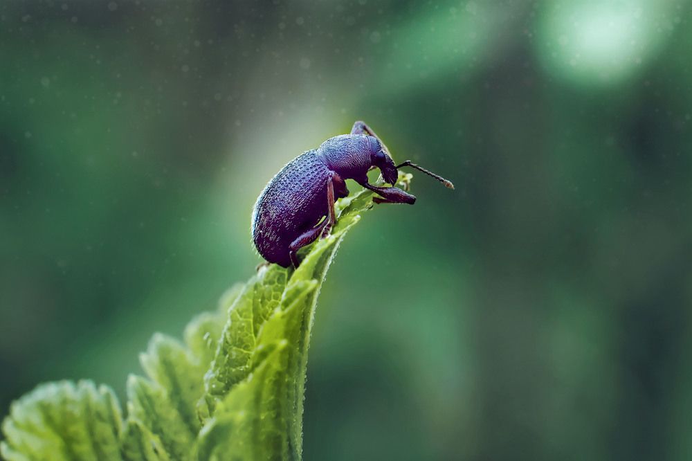 Photograph by lyudmila Soloveva
