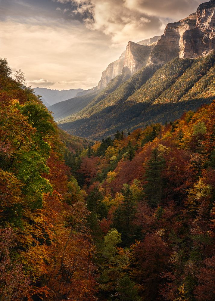 Photograph by Oscar Lata