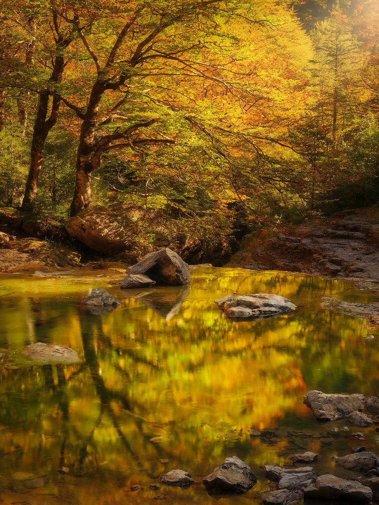 Photograph by Oscar Lata