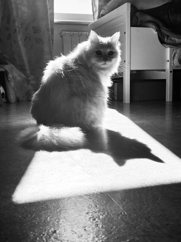Photograph by Татьяна