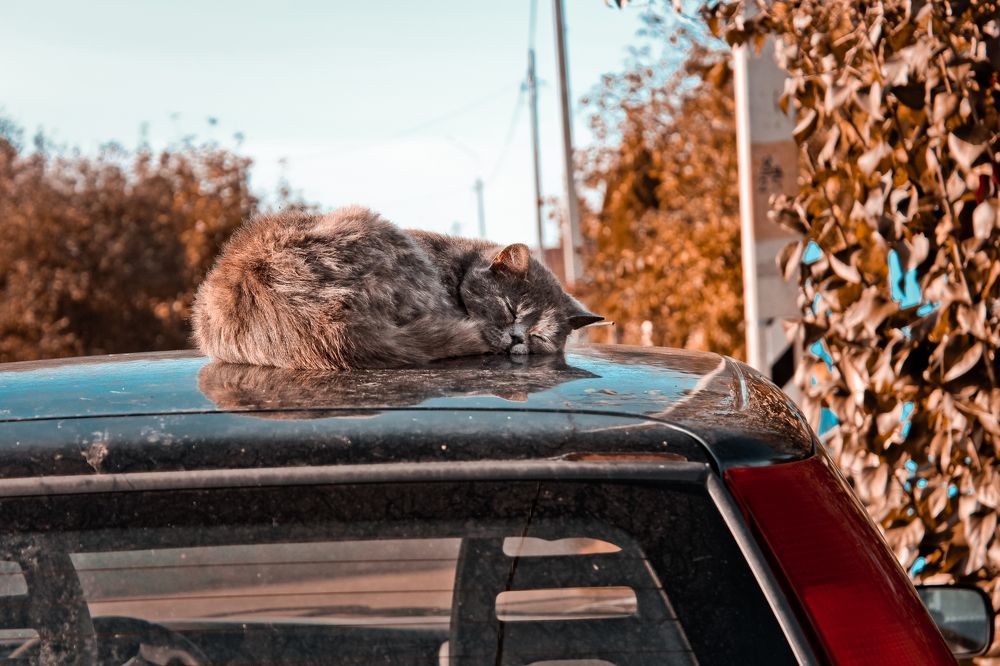 Photograph by Liudmila Pilets