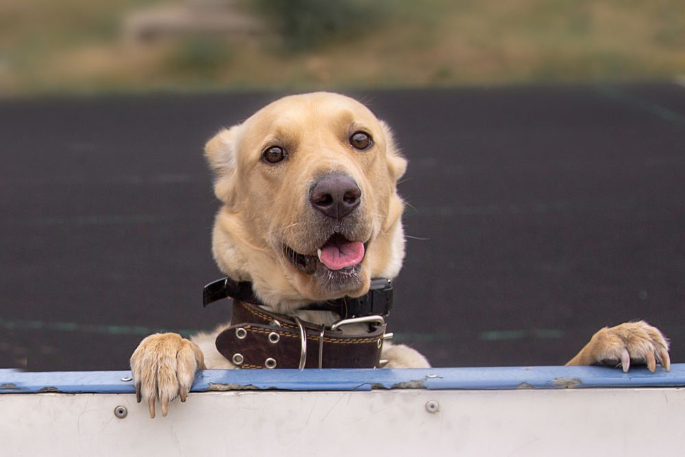 Photograph by Анастасия Щербакова