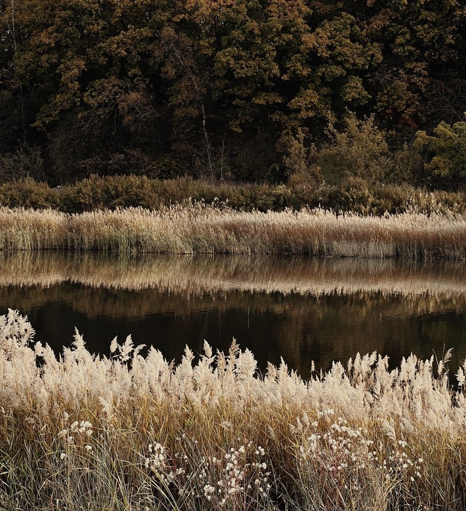 Photograph by Ольга Халецкая