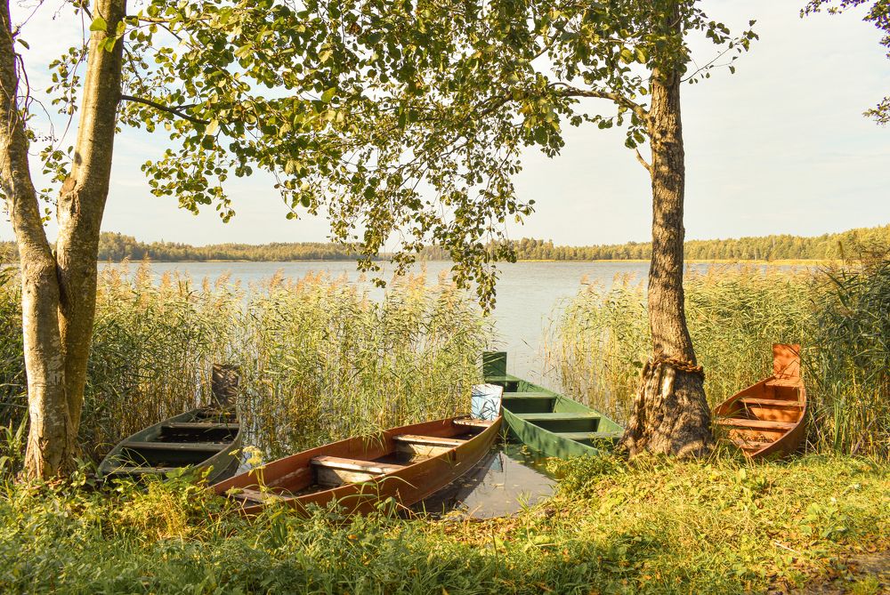 Photograph by Лариса Толкачёва