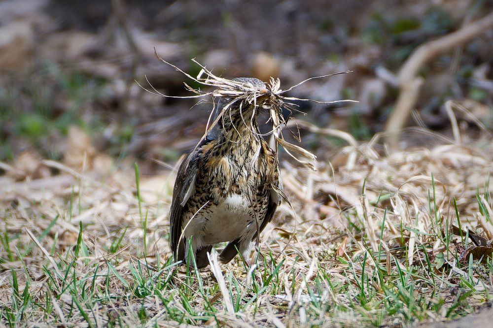 Photograph by Александр Перегудов