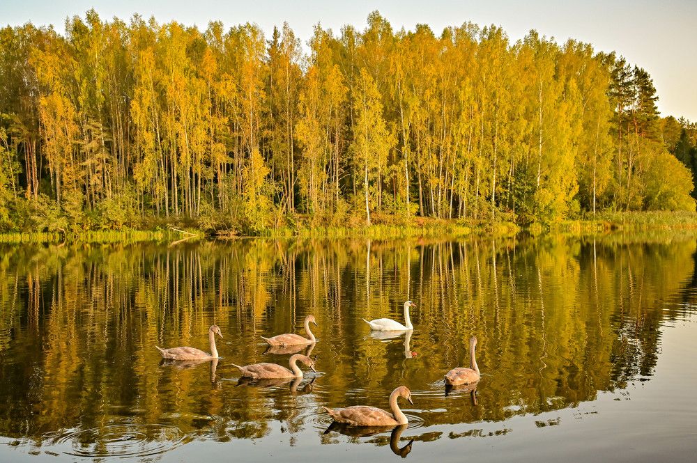 Photograph by Tanzilya Gabidullina