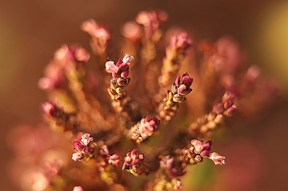 Photograph by Елена Одынец