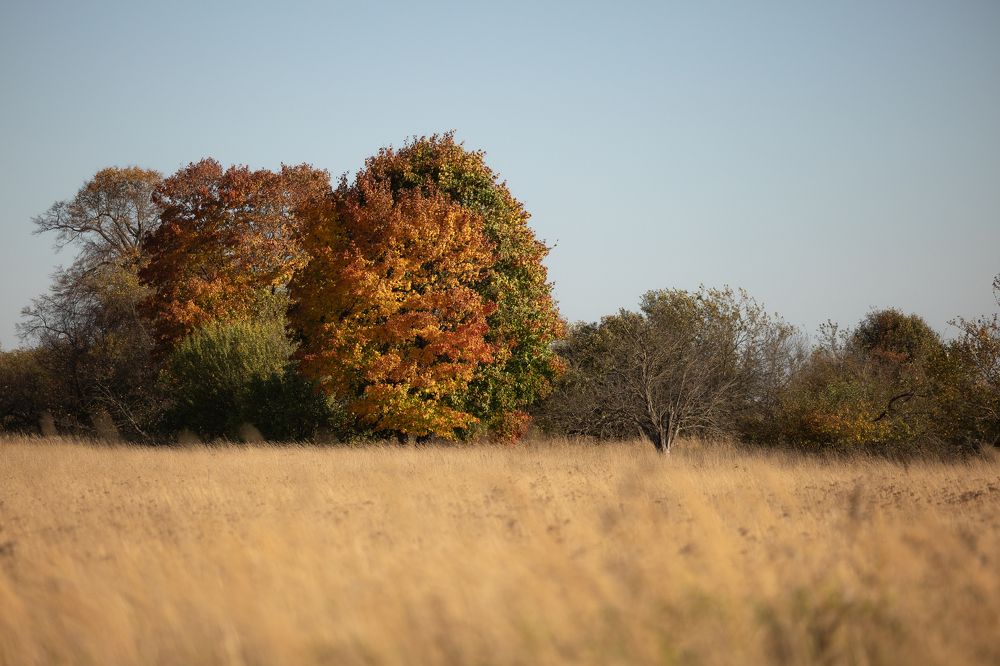 Photograph by Владимир Петухов