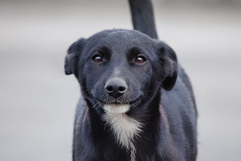 Photograph by Вероника Романенко