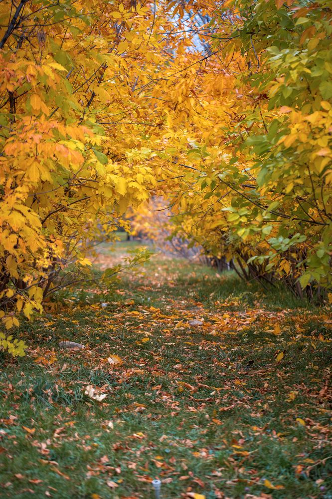 Photograph by Василика Кондратьева