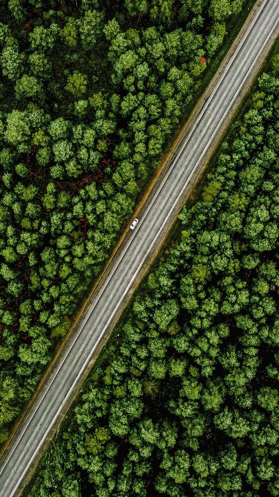 Photograph by Денис Бочаров