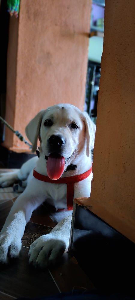 Photo #9692302