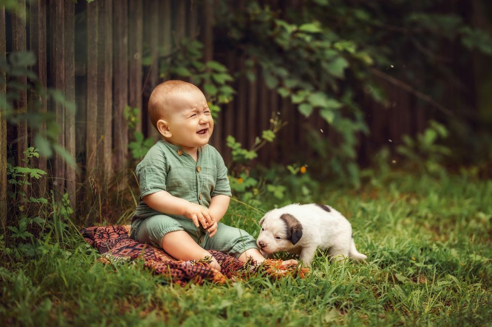 Photograph by Анастасия Стегниенко