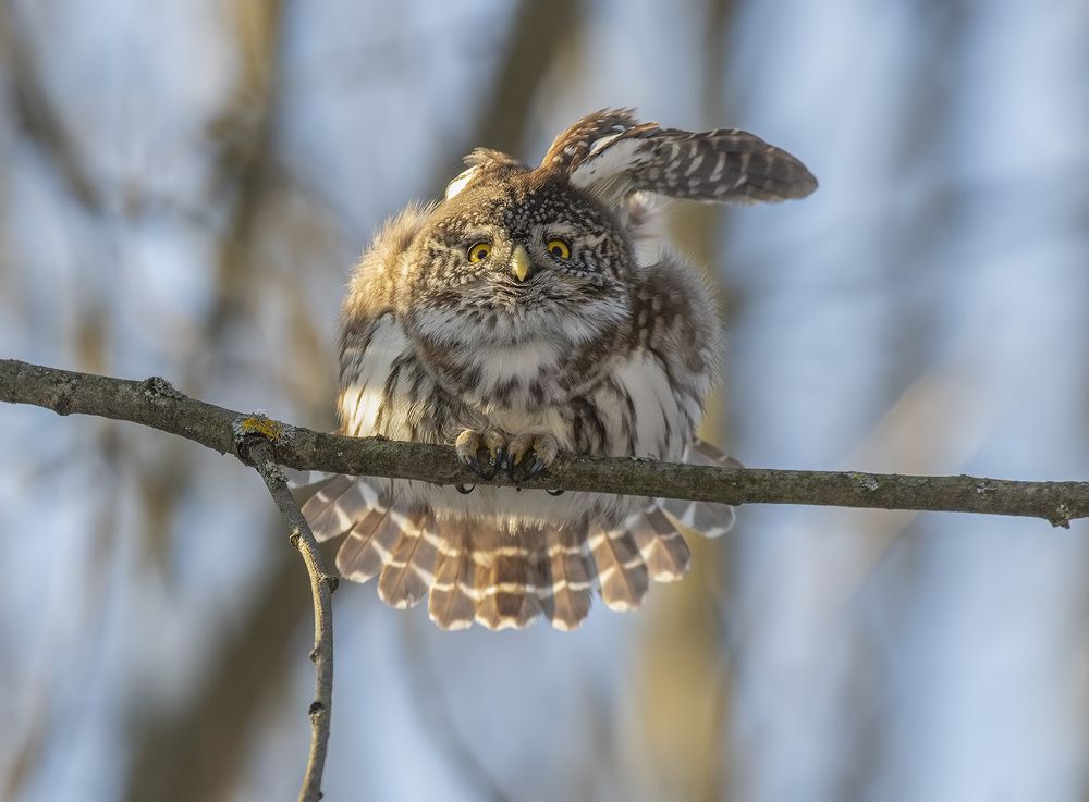 Photograph by Елена Швыдун